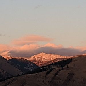 Meet your Posher, Shannon